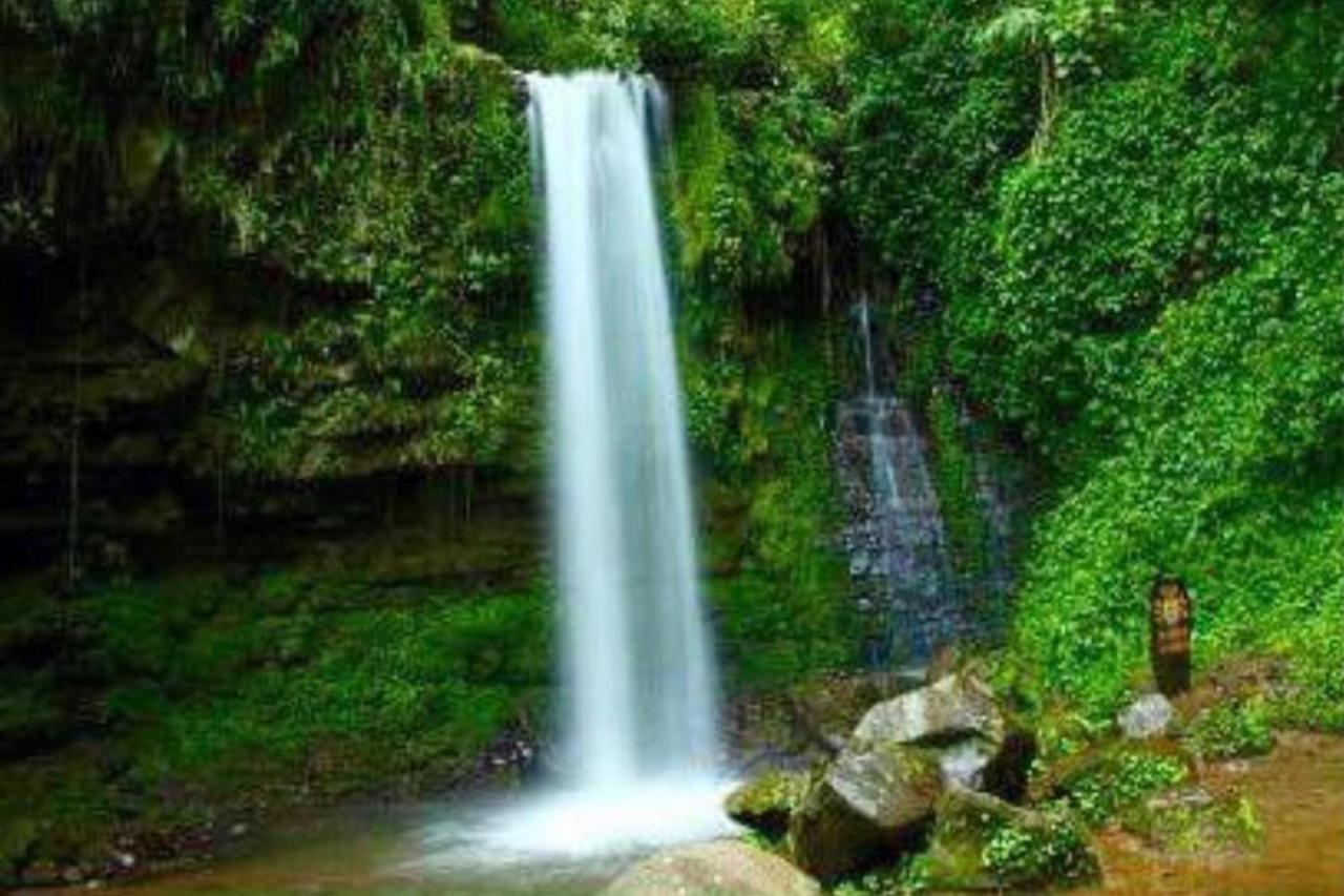 Oyo Home 90396 Mahua Rainforest Paradise Tambunan Экстерьер фото